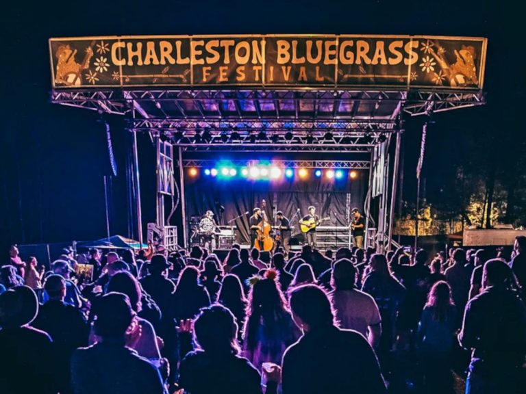 The stage of the Charleston Bluegrass Festival at night with a band playing live as the stage lights the silhouettes of the audience in the foreground