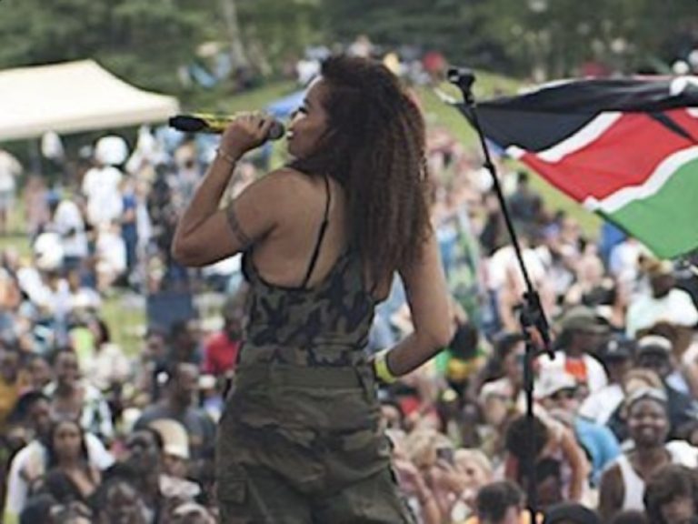 A singer on stage at a Reggae Nights outdoor concert.