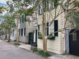 A street view of Charleston Single Houses in Ansonborough with a row of crepe myrtle trees along the sidewalk