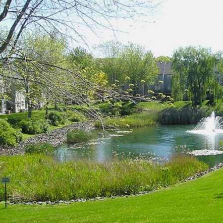 A stormwater retention pond with a fountain surrounded by residential homes